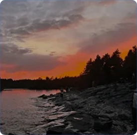 Свобода от решений