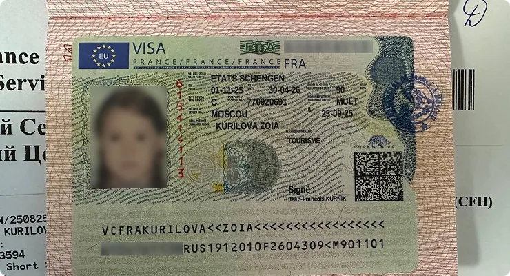 Виза 12